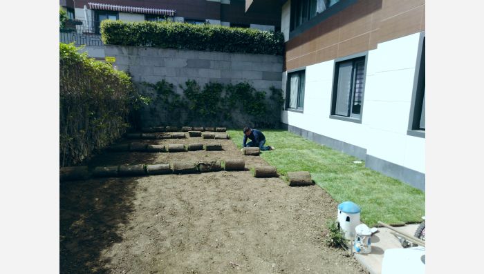 Hazır Çim, Hazır rulo çim, rulo cim